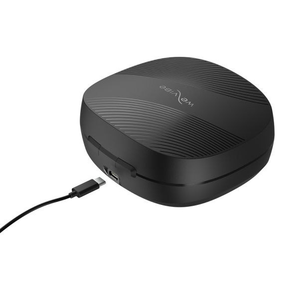 WV_Chorus Pro_case cable_4000x2499