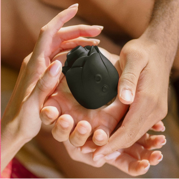 FSOG-Hearts & Flowers-Standard Banner-01