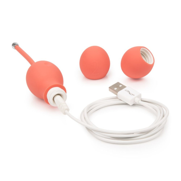 WVI-Bloom-Product Image-charging-tif_result